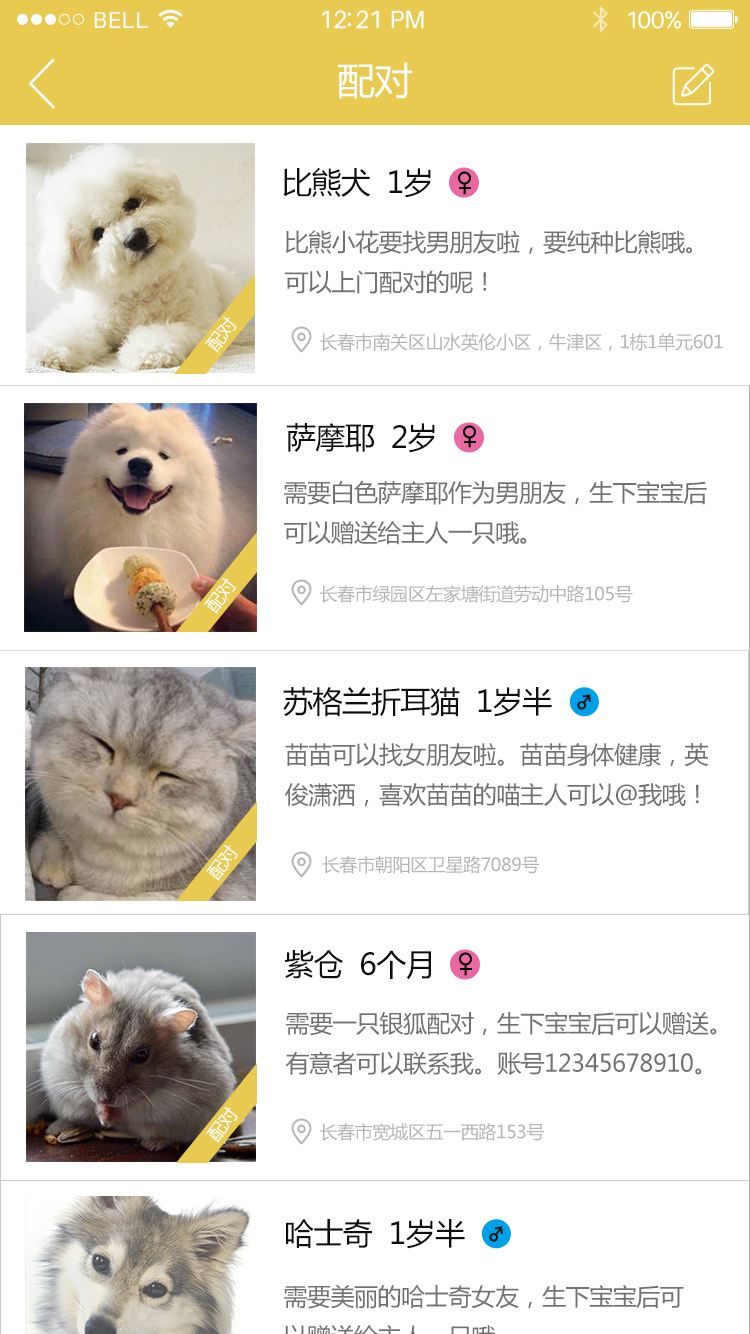广州APP开发，宠物APP开发解决方案